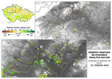 Vegetace trvalých kultur - 23. červen 2024
