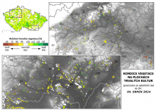 Vegetace trvalých kultur - 4. srpen 2024