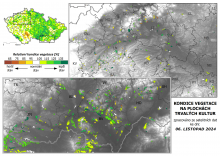 Vegetace trvalých kultur - 6. listopad 2024