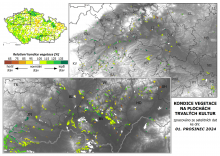 Vegetace trvalých kultur - 1. prosinec 2024